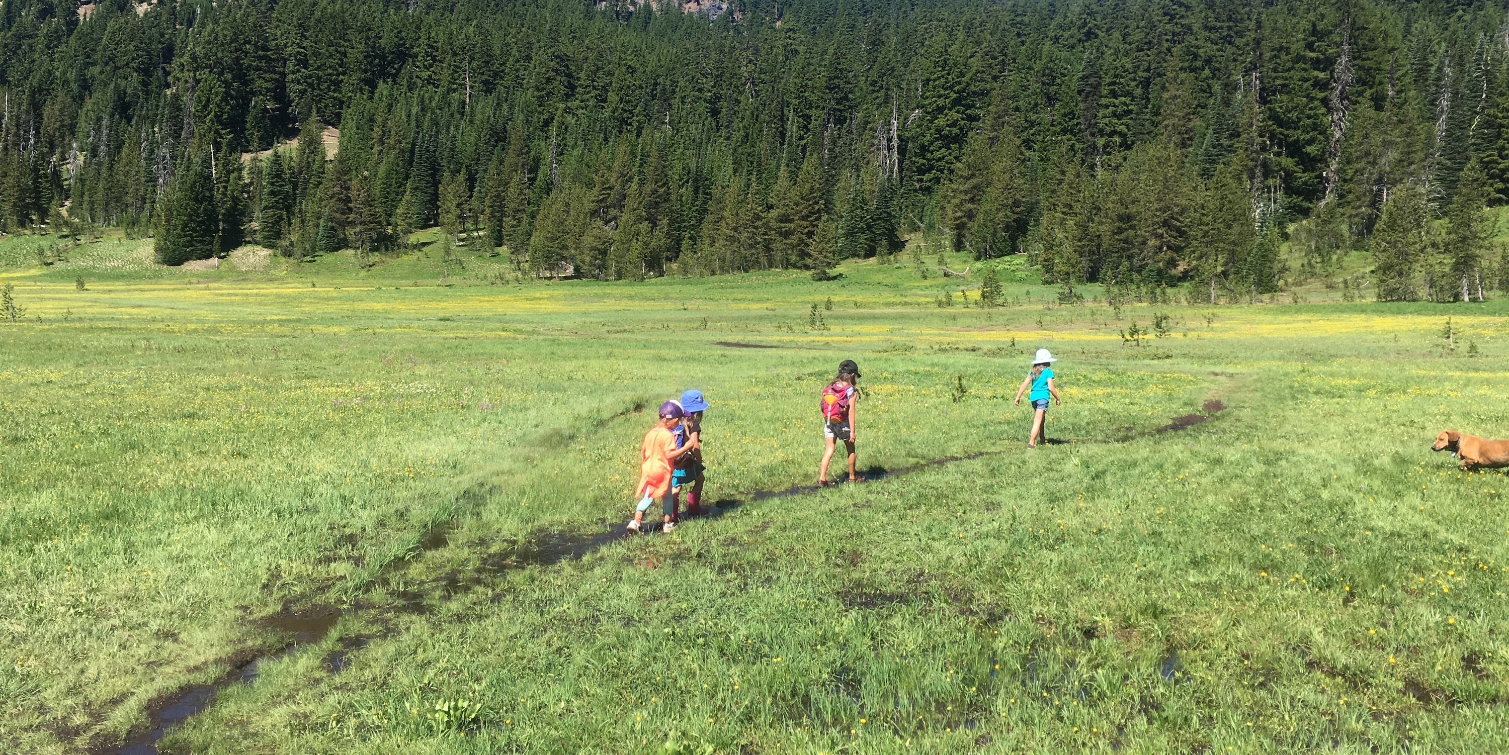Five Hikes for Kids Near Sunriver